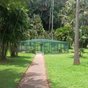 Student Garden