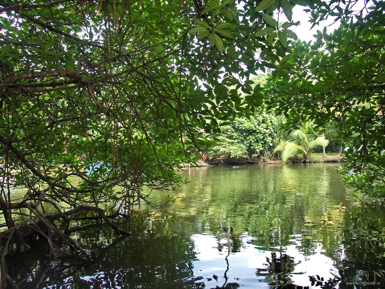 Day 10: Beruwela Leisure and Sightseeing