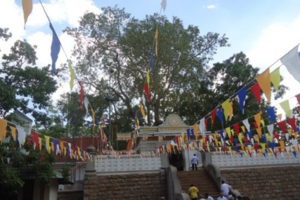 Day 2: Colombo to Anuradhapura