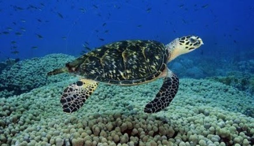 Best places to visit in Sri Lanka