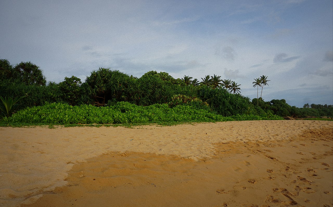 TouringSriLanka