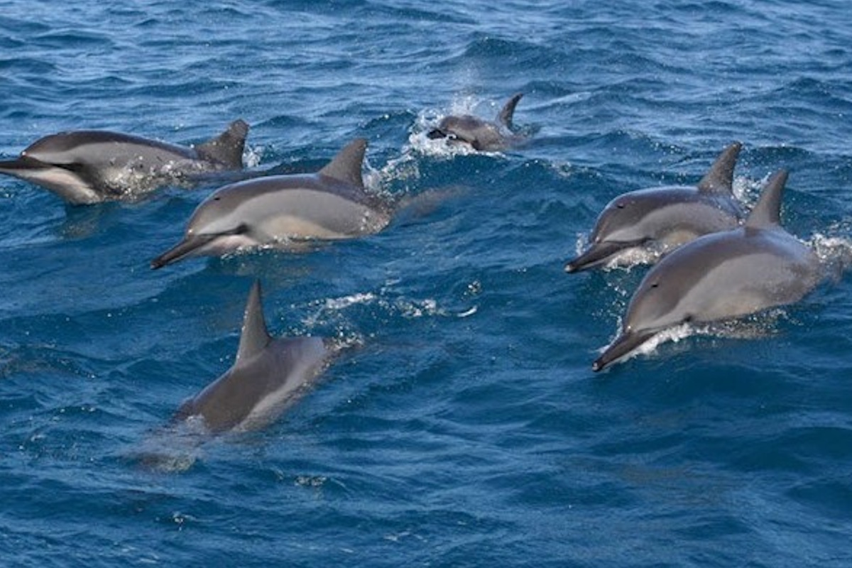 TouringSriLanka