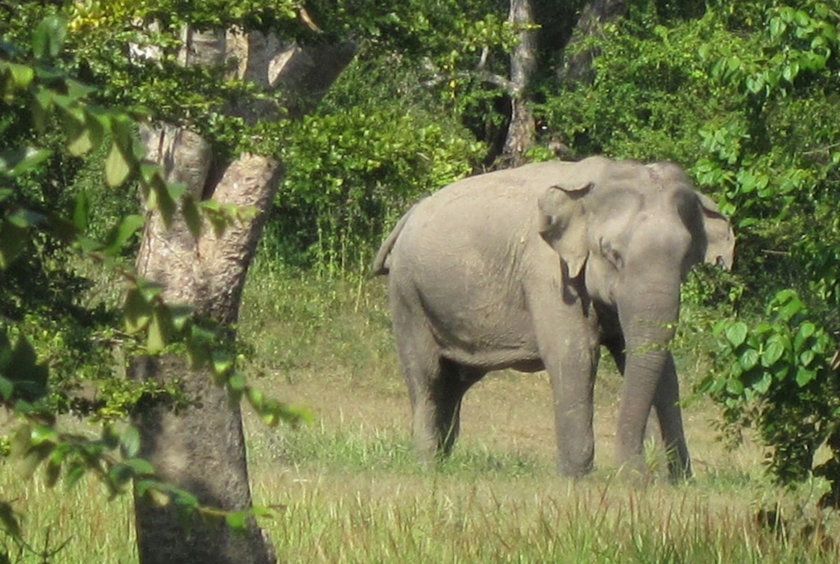 TouringSriLanka