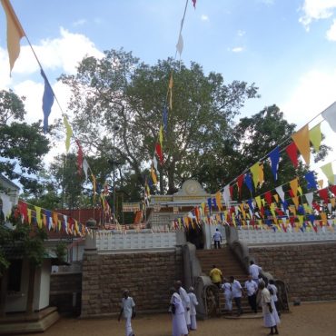 Shri Maha Bodhiya