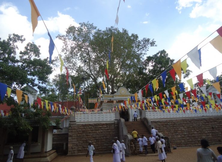 Shri Maha Bodhiya