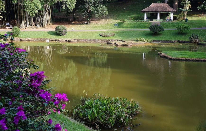 Natural Beauty of Sri Lanka