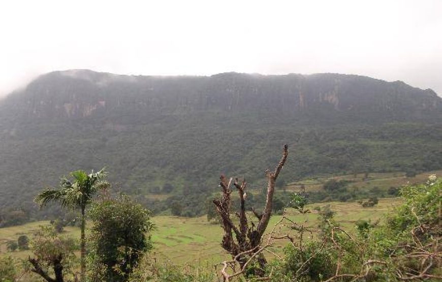 Natural Beauty of Sri Lanka