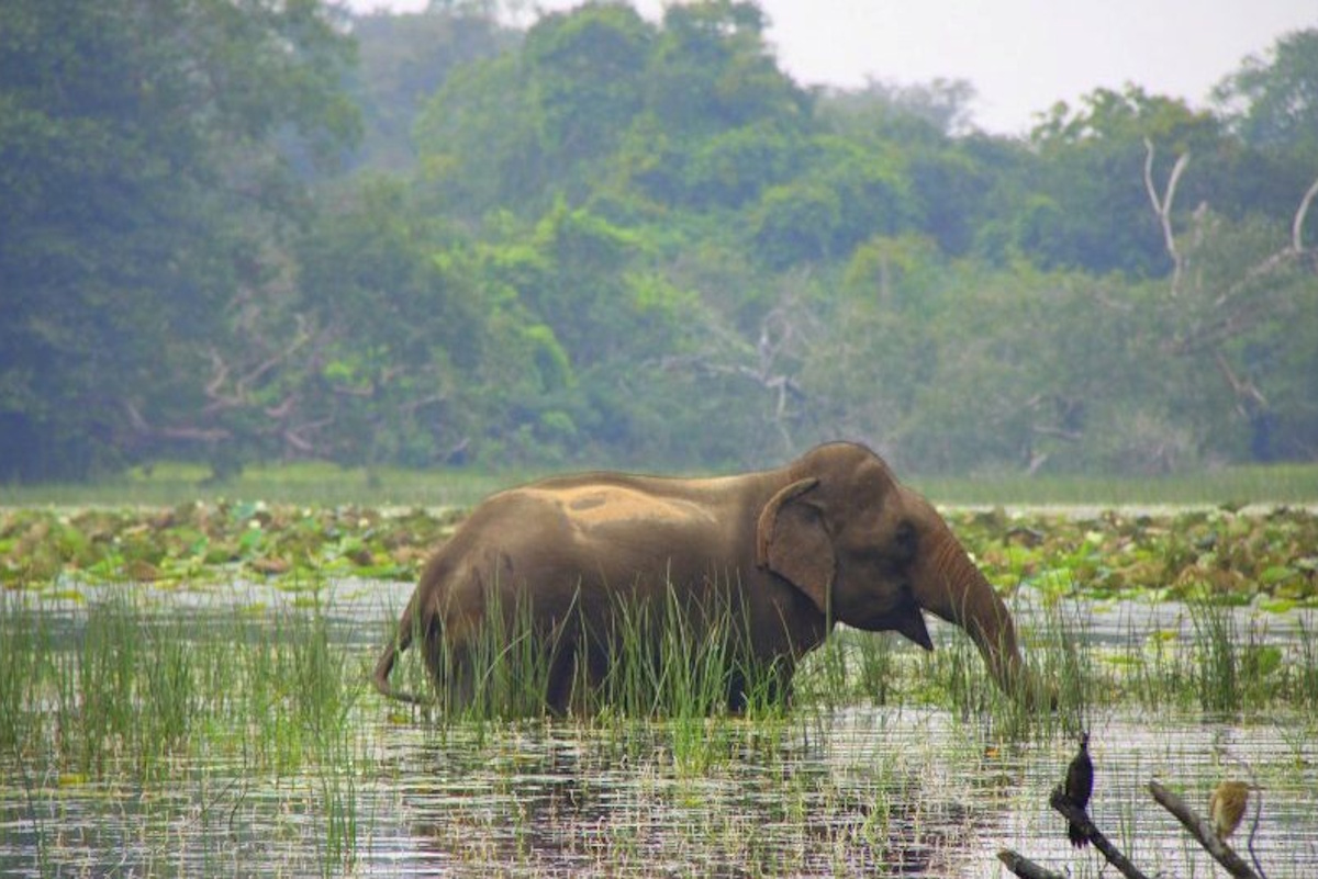 TouringSriLanka