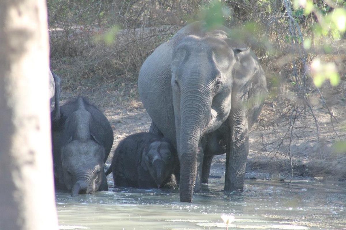 TouringSriLanka