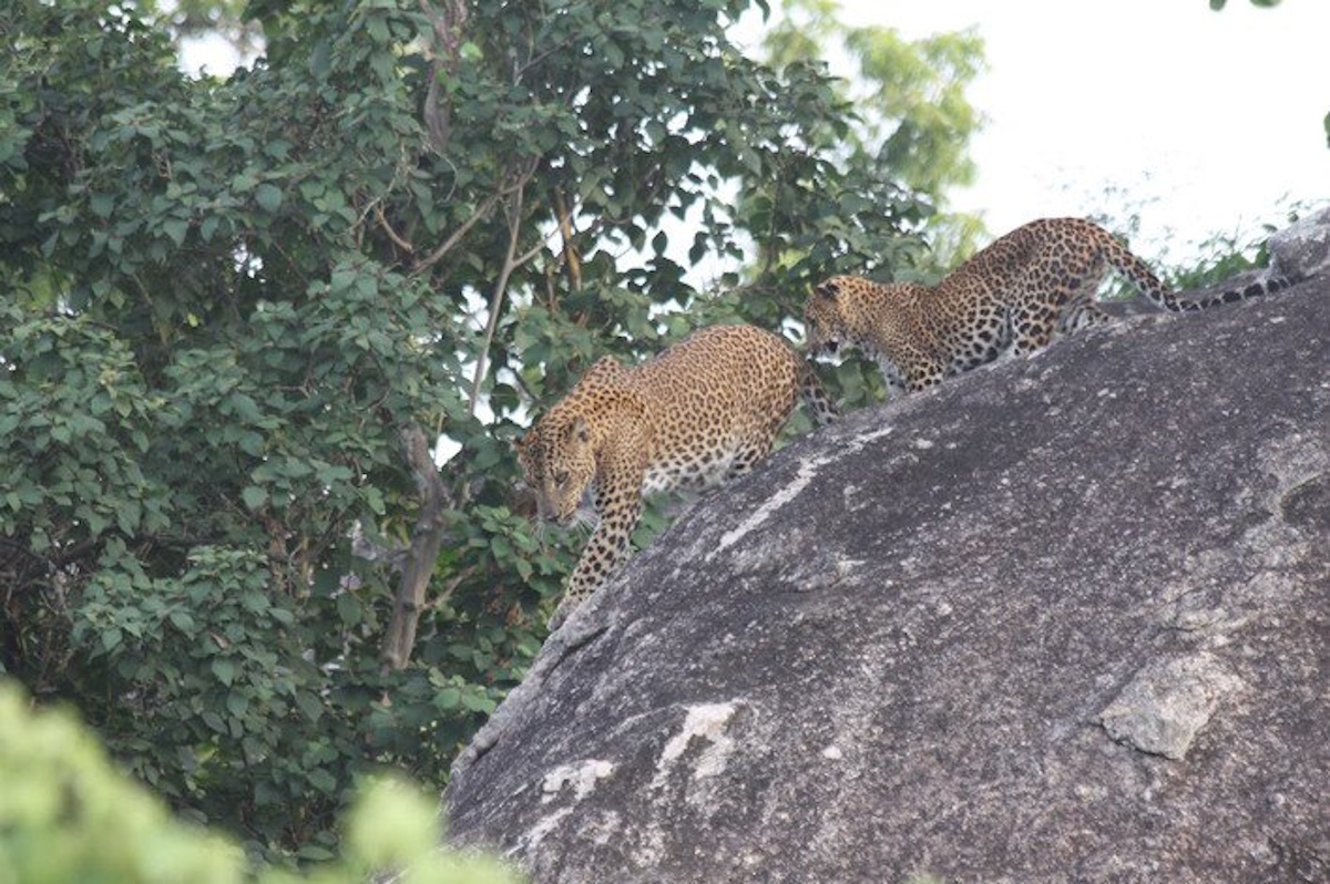TouringSriLanka