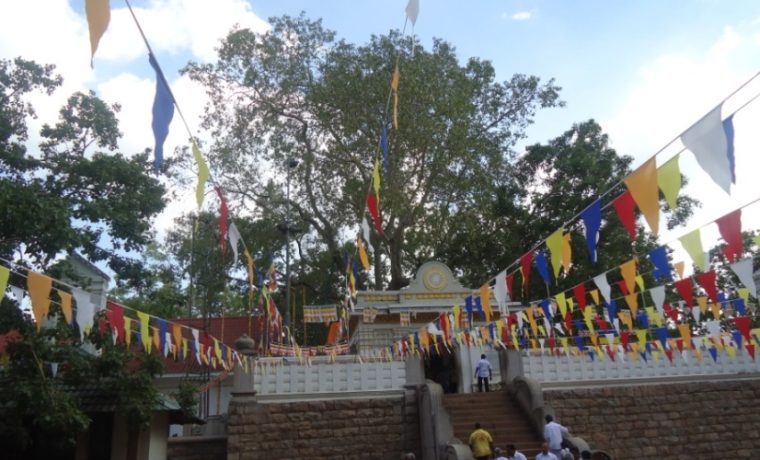 Maha Vihara Monastery Complex