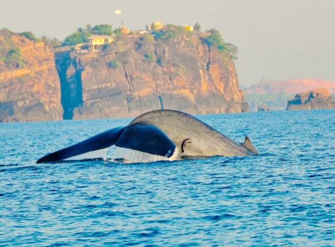 Seasonal surprises in Sri Lanka