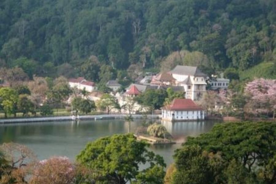 A Day in Kandy: Sri Lanka’s Sacred Heartbeat