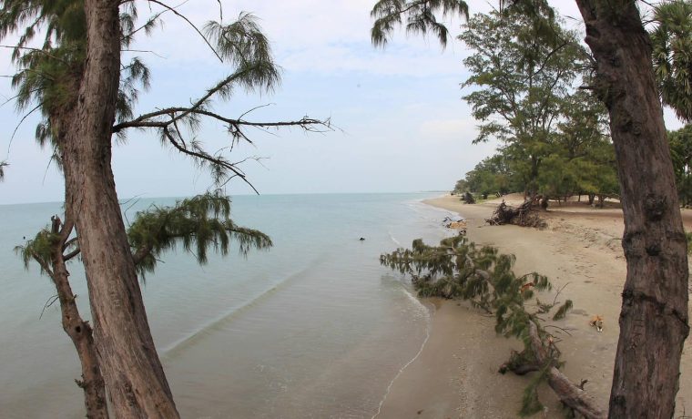 Casuarina Beach