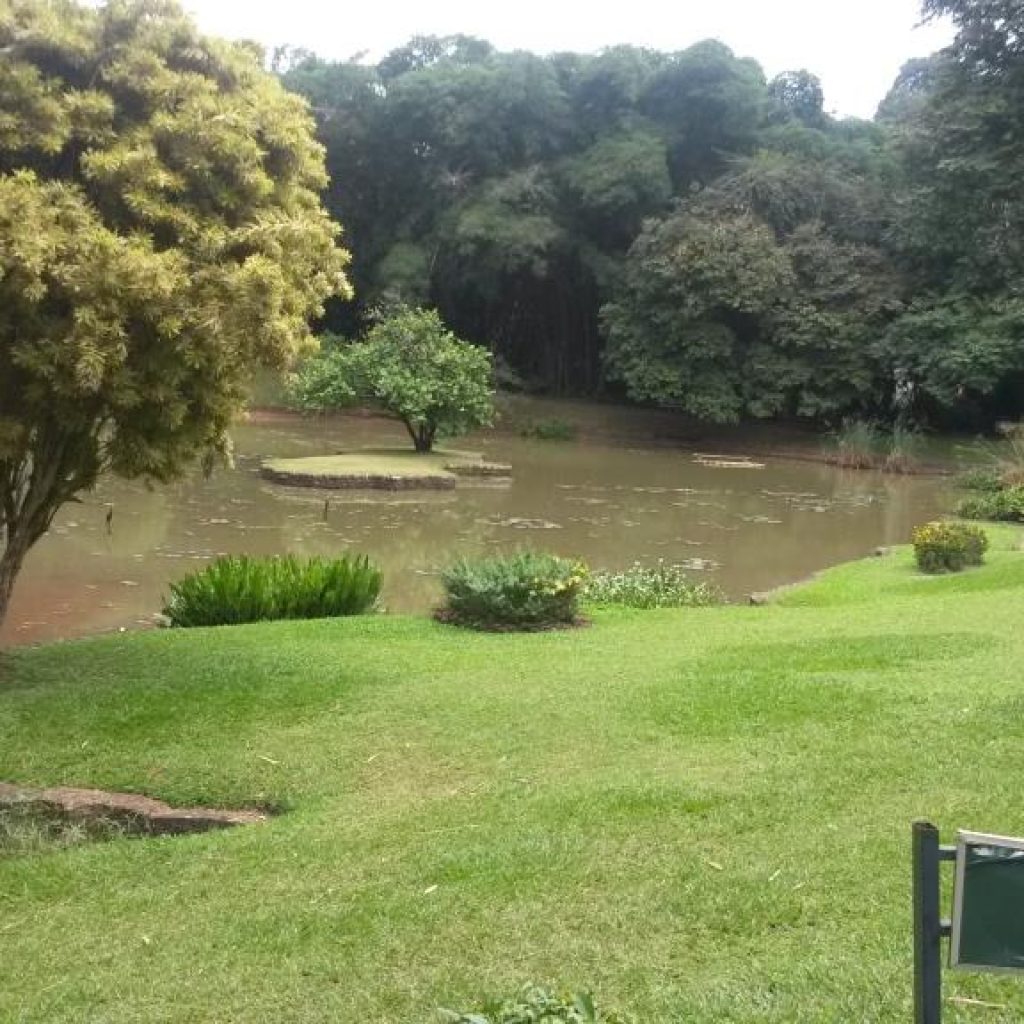 Peradeniya Botanical Gardens