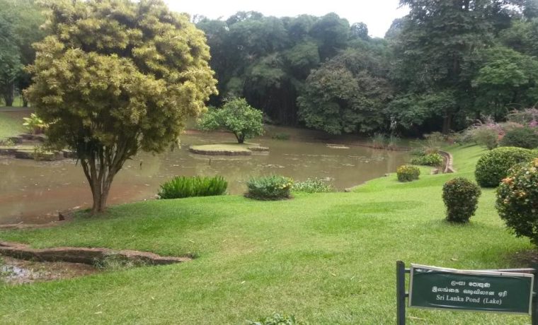 Peradeniya Botanical Gardens