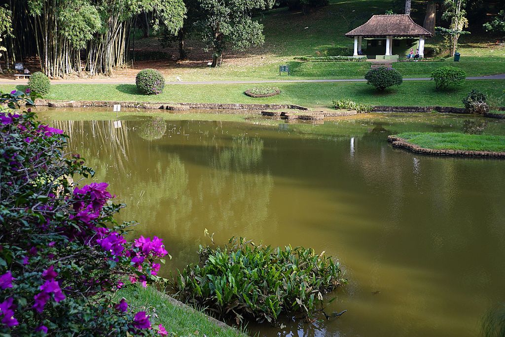 Peradeniya Botanical_Garden lake
